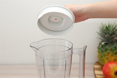 Máy xay sinh tố đa năng Philips HR2041/10 - 2 cối