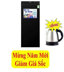 Tủ đông Sanaky inverter 150 lít VH-180VD3