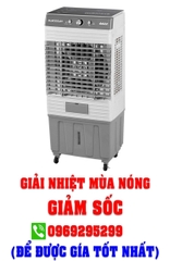 Quạt hơi nước Daikiosan DM101