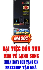 Tủ lạnh Panasonic Inverter 290 lít NR-BV320WKVN