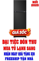 Tủ Lạnh LG Inverter 266 Lít LTB26BLM