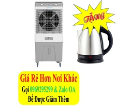 Quạt hơi nước Daikiosan DM202