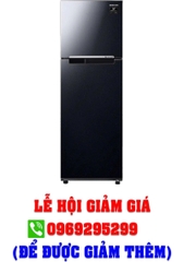 Tủ lạnh Samsung Inverter 256 lít RT25M4032BU/SV