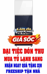 Tủ lạnh Samsung Inverter 460 lít RT47CB66868ASV