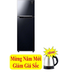 Tủ lạnh Samsung Inverter 256 lít RT25M4032BU/SV