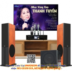 Dàn Nghe Nhạc Và Hát Karaoke Paramax 02 (Paramax D88 Limited, DKA 5500, SW512)