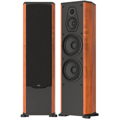 Loa karaoke Paramax Platinum FX-1500