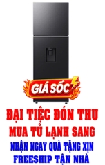 Tủ lạnh Samsung Inverter 345 lít RT35CG5544B1SV