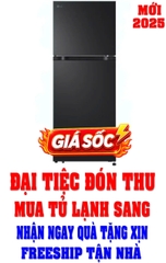 Tủ lạnh LG Inverter 217 lít LTB21BLMI