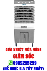 Quạt hơi nước Daikiosan DM202