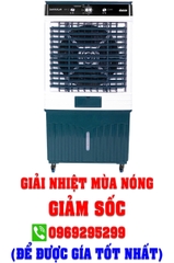 Quạt hơi nước Daikiosan DM103