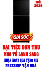 Tủ lạnh Aqua Inverter 212 lít AQR-T245FA(LB)