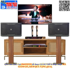 Combo Karaoke Active JBL 01 (JBL RM210, BIK BPR 5600, BIK BJ U600 )