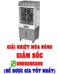 Quạt hơi nước Daikiosan DM108