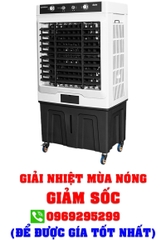 Quạt hơi nước Daikiosan DM203