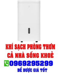 Máy hút ẩm Electrolux EDH10TRBW1