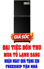 Tủ lạnh Hitachi Inverter 260 lít HRTN5275MFUVN