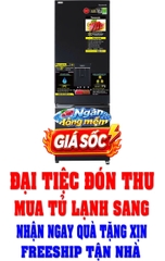 Tủ lạnh Panasonic Inverter 322 lít NR-BC360WKVN