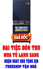 Tủ lạnh Panasonic Inverter 255 lít NR-BV281BGMV