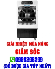 Quạt hơi nước Daikiosan DM204