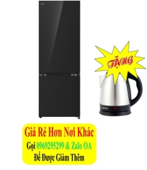 Tủ lạnh LG Inverter 335 lít LBB33BLGA