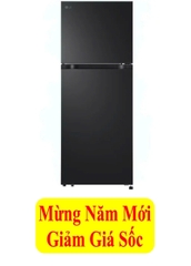 Tủ lạnh LG Inverter 217 lít LTB21BLMI