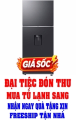 Tủ lạnh Samsung Inverter 382 lít RT38CG6584B1SV