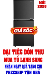 Tủ lạnh Toshiba Inverter 182 Lít GR-RT236WE-PMV(68)