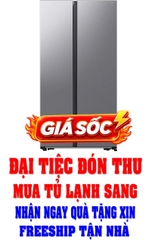 Tủ lạnh Samsung Inverter 583 lít RS57DG400EM9SV