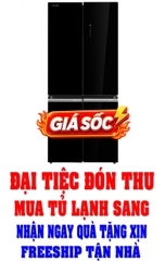 Tủ lạnh Toshiba Inverter Multi Door GR-RF665WIA-PGV(22)-XK (515 lít)