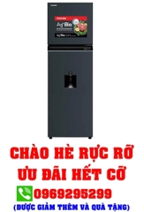 Tủ lạnh Toshiba Inverter 249 lít GR-RT325WE-PMV(06)-MG