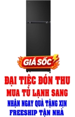 Tủ lạnh LG Inverter 335 lít LTB33BLG
