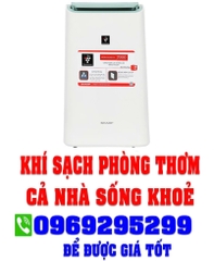 Máy hút ẩm Sharp DW-E16FA-W
