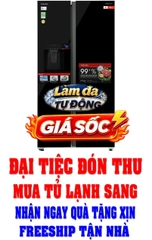 Tủ lạnh Toshiba Inverter 568 lít Side By Side GR-RS755WIA-PGV(22)-XK