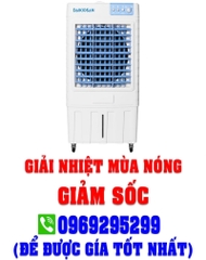 Quạt hơi nước Daikiosan DM107