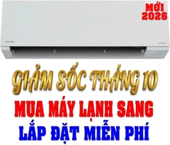 Máy lạnh Toshiba Inverter 1 HP RAS-H10F2KCVSG-V