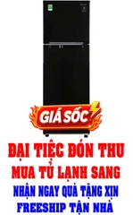 Tủ lạnh Samsung Inverter 256 lít RT25M4032BU/SV