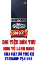 Tủ lạnh Panasonic Inverter 251 lít NR-SP275CPAV