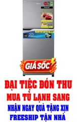 Tủ lạnh Panasonic Inverter 234 lít NR-TV261APSV