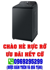 Máy giặt Samsung inverter 23Kg WA23A8377GV/SV