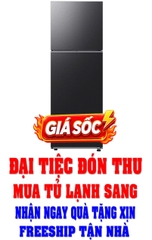Tủ lạnh Samsung Inverter 305 lít RT31CG5424B1SV