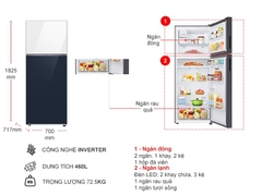 Tủ lạnh Samsung Inverter 460 lít RT47CB66868ASV