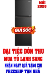 Tủ lạnh Toshiba Inverter 240 Lít GR-RT310WE-PMV(68)