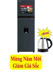 Tủ lạnh Toshiba Inverter 249 lít GR-RT325WE-PMV(06)-MG