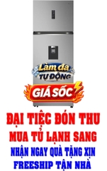 Tủ lạnh LG Inverter 459 lít LTD46SVMA