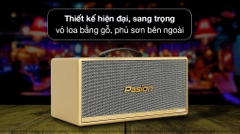 Loa karaoke xách tay PASION 2c