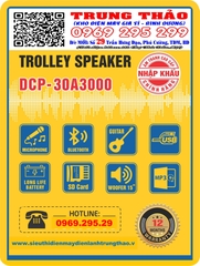 Loa di động Daichipro DCP-30A3000