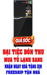 Tủ lạnh Panasonic Inverter 188 lít NR-BA229PKVN