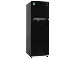 Tủ lạnh Samsung Inverter 256 lít RT25M4032BU/SV