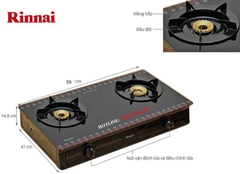 Bếp gas Rinnai RV-3615GL(FM)